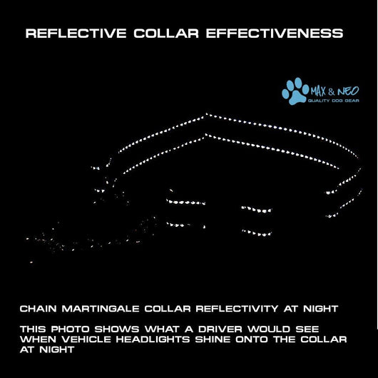 Stainless Steel Dog Chain Martingale Collar