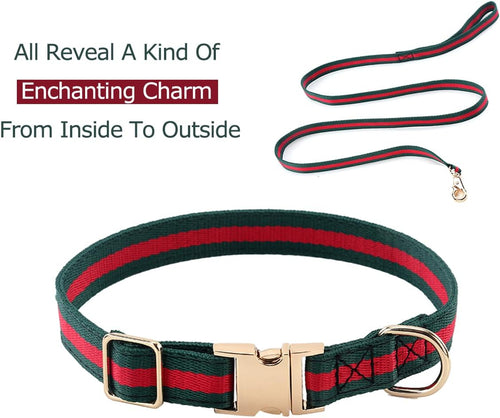 Dog Collar Set | Adjustable Durable Leash & Metal Buckle