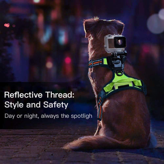 Adjustable Dog Action Camera Harness Mount Vest