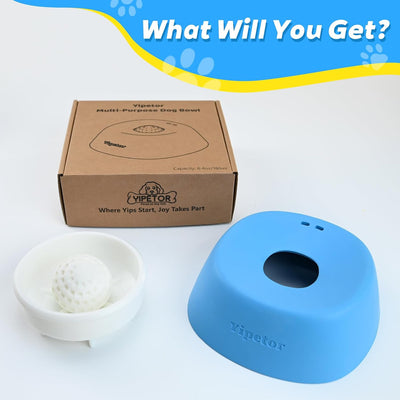 Slow Feeder Lick Bowl for Mess-Free Enrichment