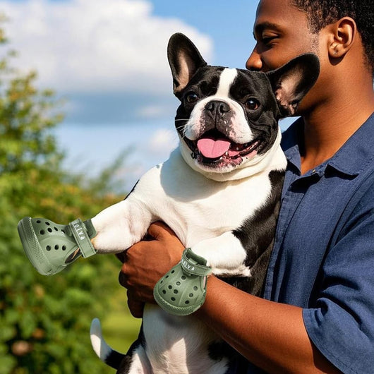 Dog Shoes | Breathable Anti-Slip Hot Pavement Shoes