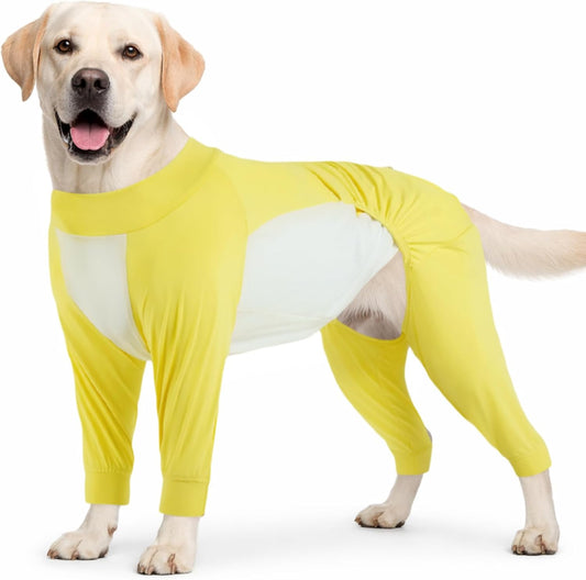 Big Dog I Cooling Shirt with UV Protection
