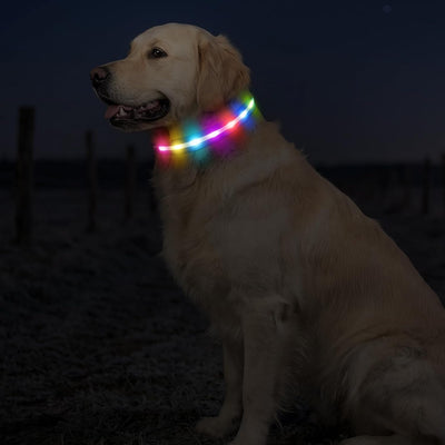 LED Dog Collar I Rechargeable Waterproof