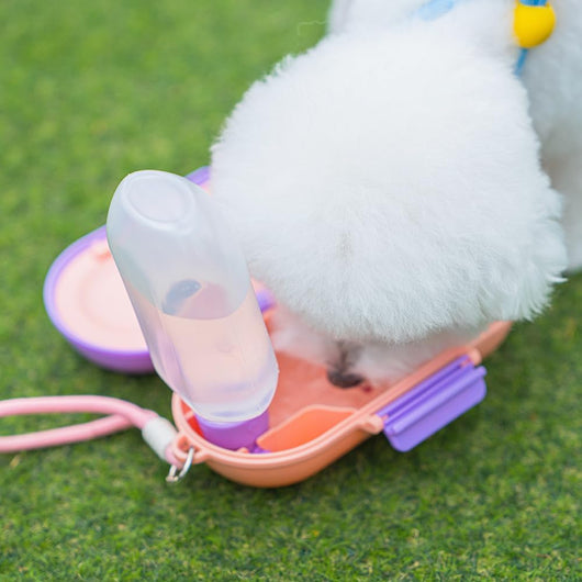Dog Water Bottle with Food Container