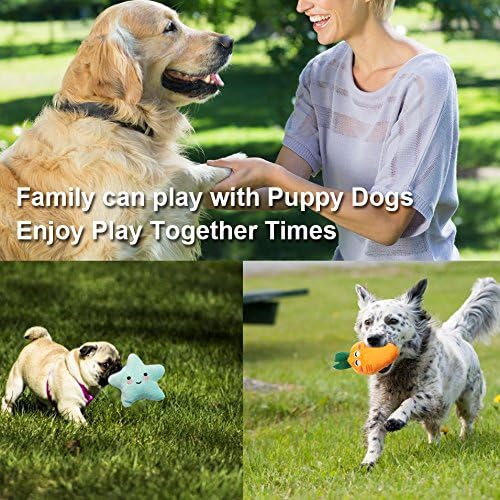 Squeaky Puppy Toy Pack for Small Dogs