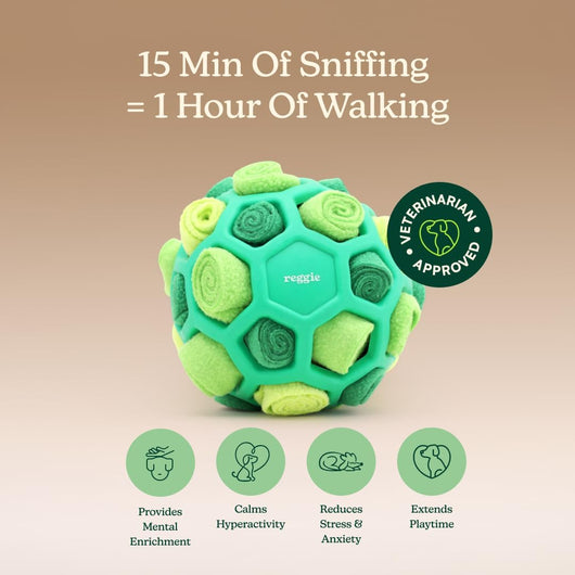 Washable Snuffle Ball for Bored Restless Dogs