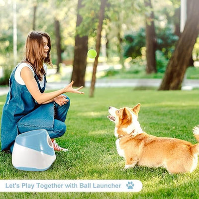 Mini Dog Ball Launcher | Automatic Fetch Toy