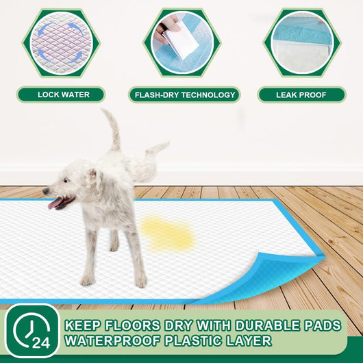 Puppy Training Pads For Easy Clean Potty Training