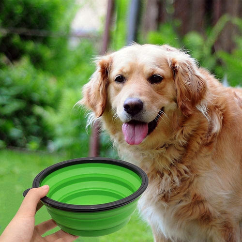 Collapsible Dog Bowls 2-Pack Portable