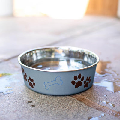 Stainless Steel Dog Bowl I Spill Proof I Blueberry