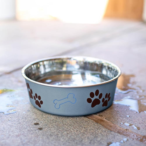 Stainless Steel Dog Bowl I Spill Proof I Blueberry