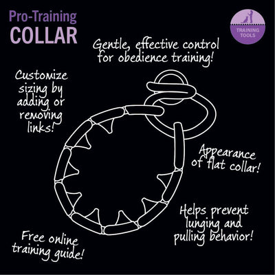 Adjustable Dog Training Collar
