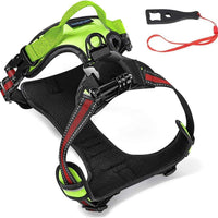 Adjustable Dog Action Camera Harness Mount Vest