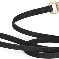 Waterproof Biothane Dog Leash for Training Adventures
