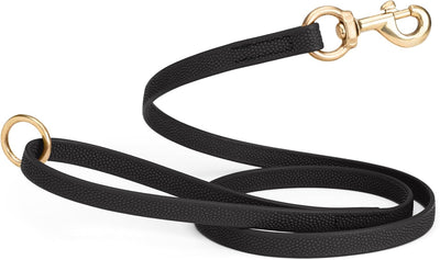 Waterproof Biothane Dog Leash for Training Adventures