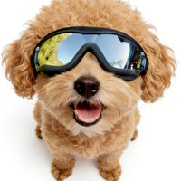 Dog Sunglasses Anti I Fog UV Protection for Small Dogs