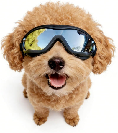 Dog Sunglasses Anti I Fog UV Protection for Small Dogs
