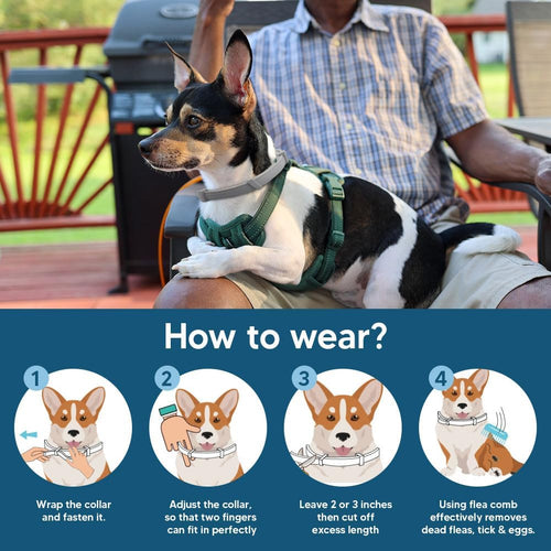 Flea and Tick Collar for Small Dogs