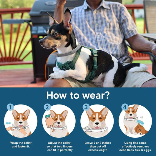 Flea and Tick Collar for Small Dogs