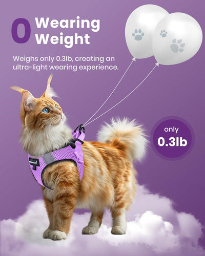 Escape Proof Dog and Cat Harness Set
