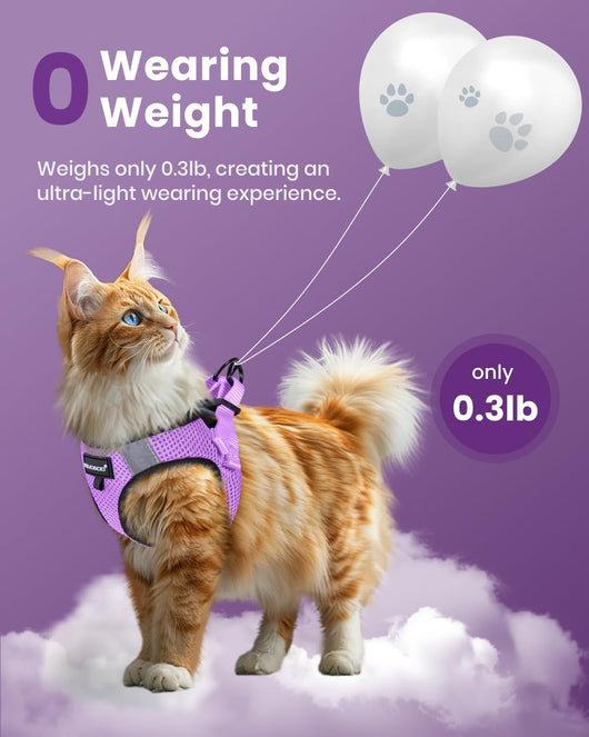 Escape Proof Dog and Cat Harness Set