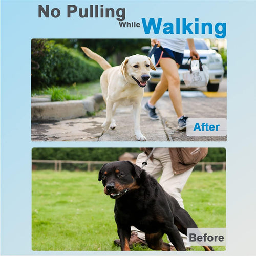 Quick-Release Adjustable Stainless Steel Dog Collar