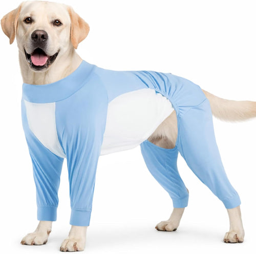 Big Dog Cooling Suit I UV Protection Blue color