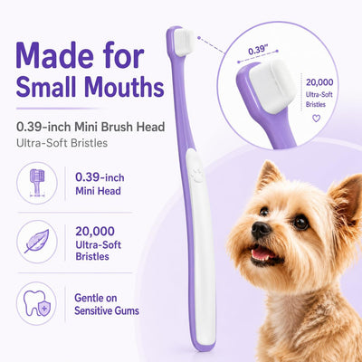 Small Dog Toothbrush Kit With Dental Toothpaste