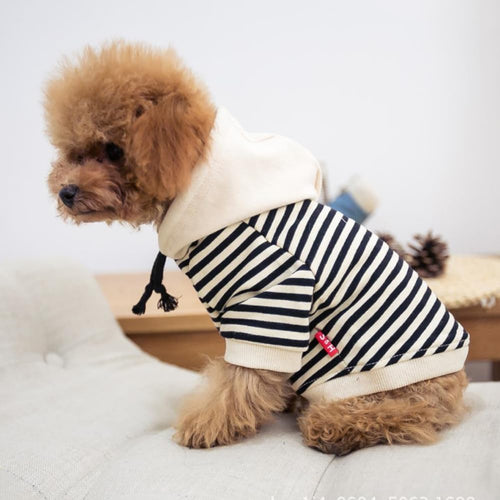 Matching Dog & Owner Hoodie | Striped Pet Sweatshirt for Small Dogs