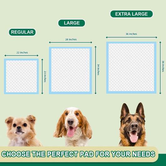 Puppy Training Pads For Easy Clean Potty Training