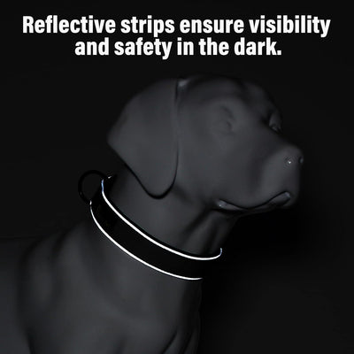 Heavy Duty Tactical Dog Collar