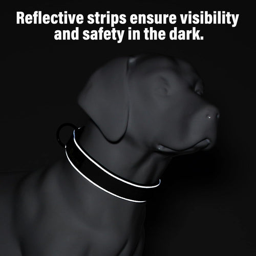Heavy Duty Tactical Dog Collar