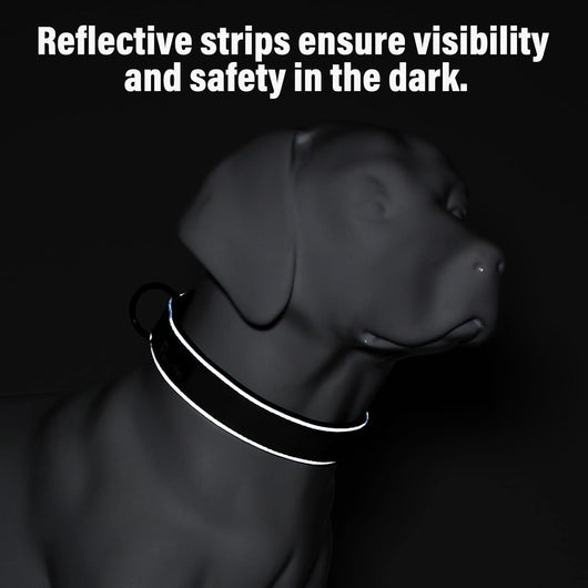 Heavy Duty Tactical Dog Collar
