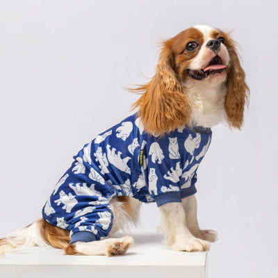 Cozy Bear Velvet Pajamas for Dogs