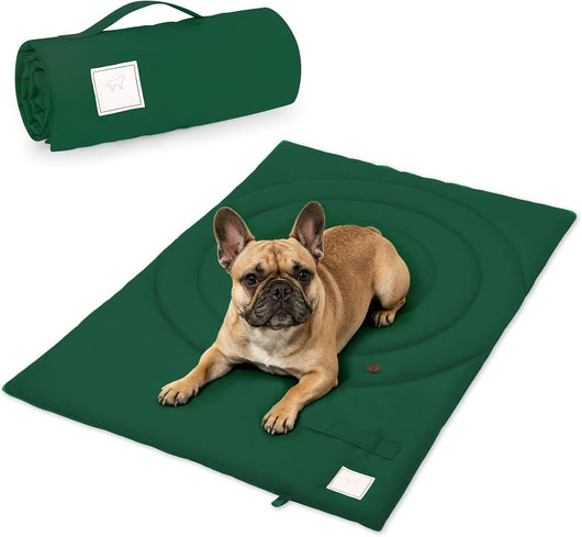 Waterproof Foldable Travel Bed for Adventurous Dogs