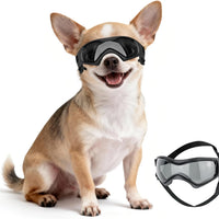 Dog Sunglasses I UV Protection