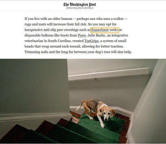 Anti-Slip Dog Boot Socks for Hardwood Floors