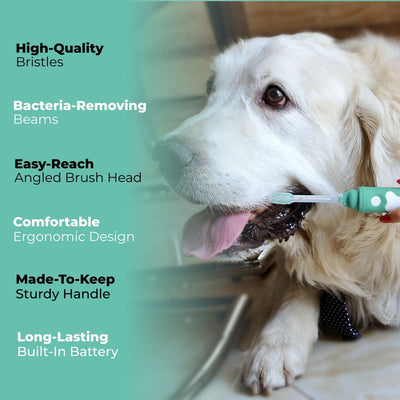 Silent Electric Dog Toothbrush for Small Dogs