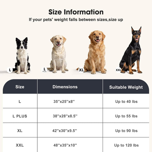 Orthopedic Dog Bed I XL Supportive Couch