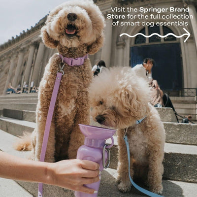Portable Dog Water Bottle for Travel