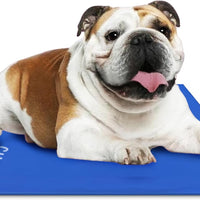 Chillz Cooling Dog Mat for Medium Pets