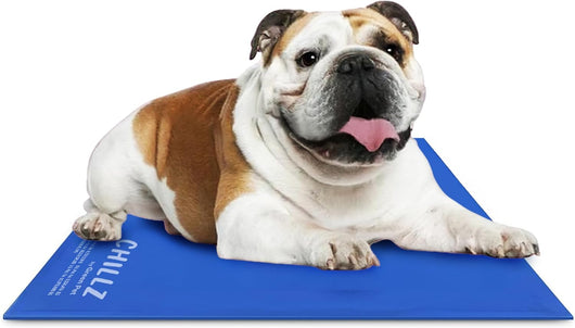Cooling dog mat for medium pets in summer heat