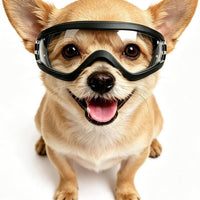 UV Protection | Clear Dog Goggles