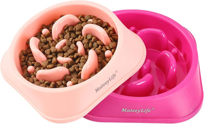 Slow Feeder Puppy Bowl For Healthy Eating Habits
