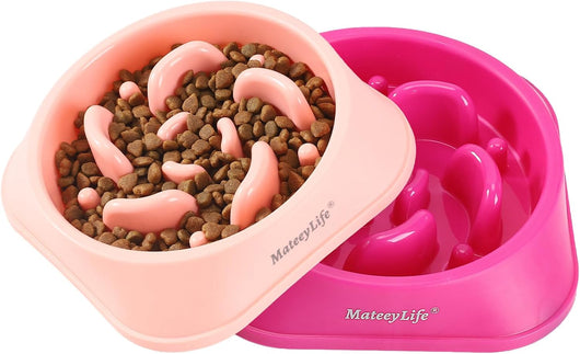 Slow Feeder Puppy Bowl For Healthy Eating Habits
