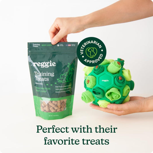 Washable Snuffle Ball for Bored Restless Dogs