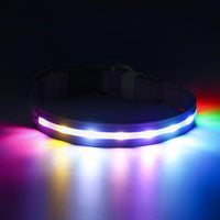 LED Dog Collar I Rechargeable Waterproof