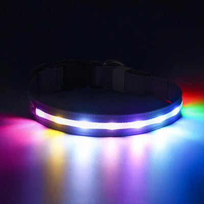 LED Dog Collar – Rechargeable Waterproof