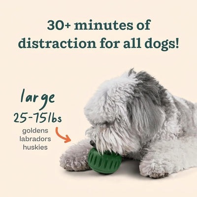 Refillable Frozen Treat Toy for Large Dogs