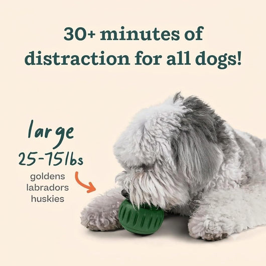 Refillable Frozen Treat Toy for Large Dogs